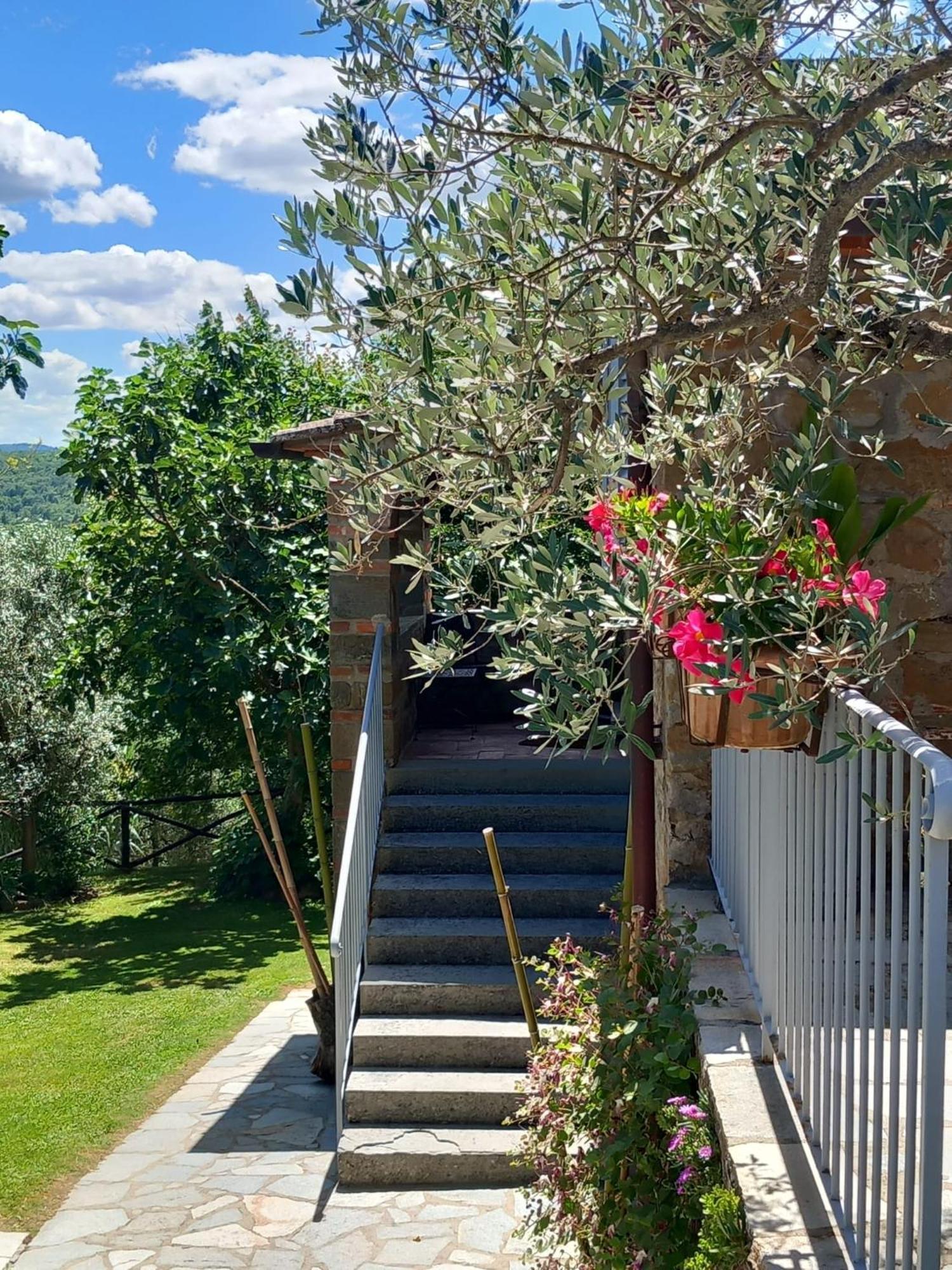Casolare Il Moro Villa Монте Сан Савино Екстериор снимка