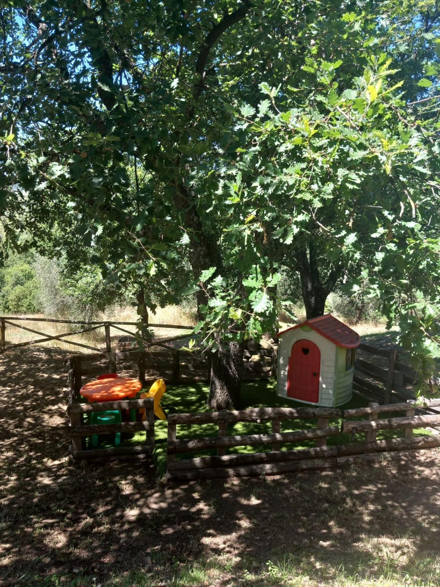 Casolare Il Moro Villa Монте Сан Савино Екстериор снимка